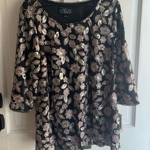 NWT Alex Evenings embroidered top 2x